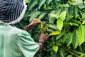 https://www.djital.technobraingroup.com/wp-content/uploads/2020/04/Agriculture-2-1.jpg
